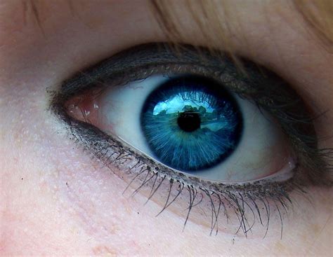 olho azul escuro